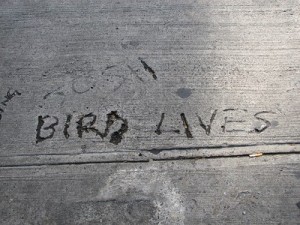 Bird lives